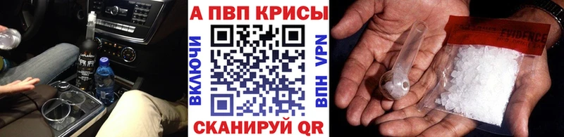 Купить закладки  Нытва  Alpha-PVP крисы CK 